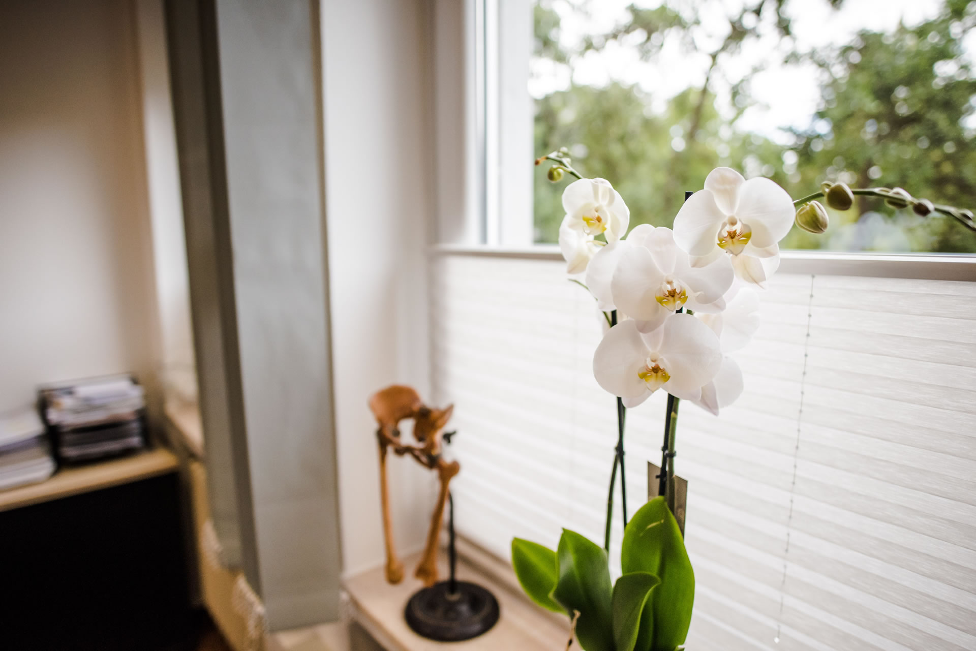 Dekoration im Arztzimmer